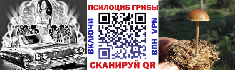Галлюциногенные грибы ЛСД  Купить  Красный Сулин 